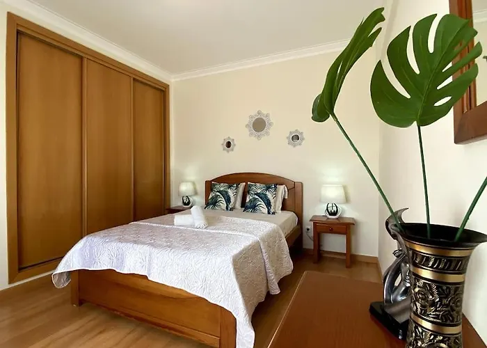 Little Rose Rosa Portimão