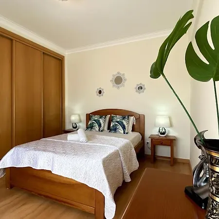 Little Rose Rosa 波尔蒂芒